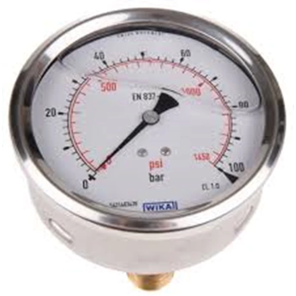 Pressure Gauge Stainless Case Back Connection