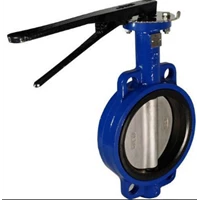 Butterfly Valve Cast Iron EPDM Seat